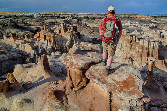 Bisti / De-Na-Zin荒野地区